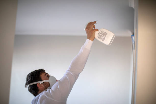 Best Mold Testing and Removal  in New Union, TN