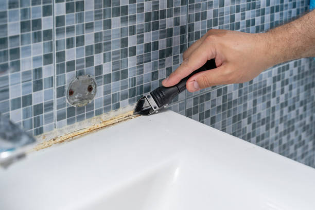 Best Mold Removal Specialists  in New Union, TN